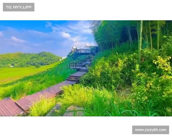 德清越野赛事;德清野营